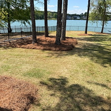 Professional-Lawn-Care-Service-in-Wellsgate-Oxford-MS 3